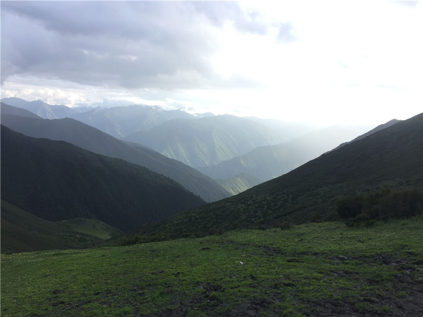 牧場遠眺。.jpg