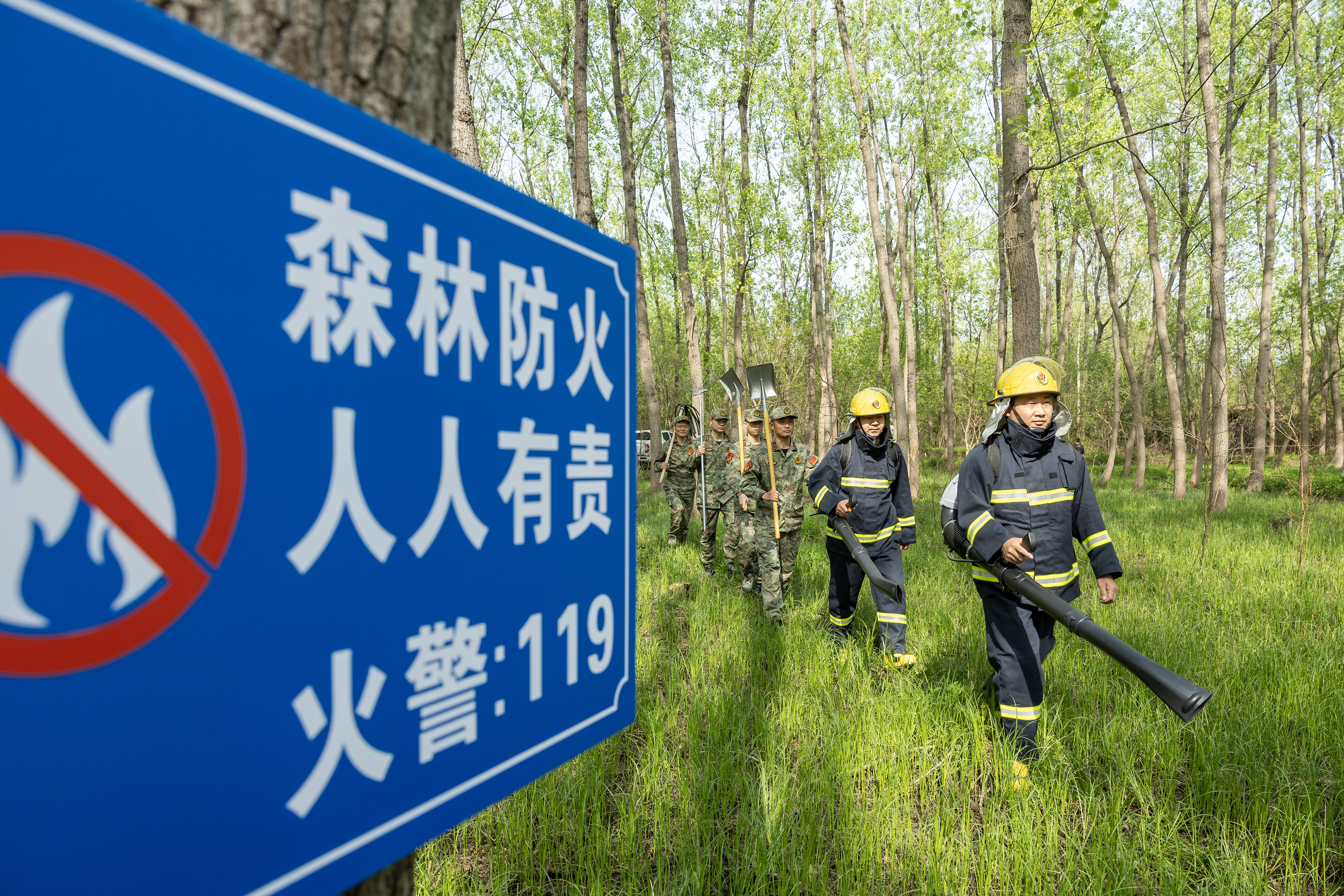 2024年4月9日，合肥市大房郢水庫水源保護地廬陽經(jīng)濟開發(fā)區(qū)段，基干民兵正在林間巡查火災隱患。