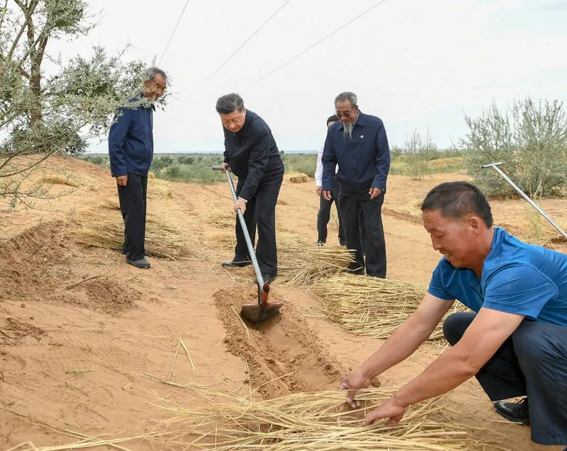2019年8月21日，習近平來到甘肅省武威市古浪縣八步沙林場，實地察看當地治沙造林、生態(tài)保護等情況。新華社記者 謝環(huán)馳 攝