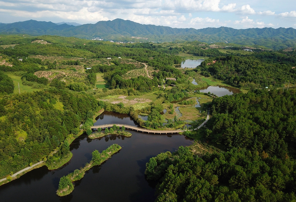 福建省龍巖市長汀縣的長汀汀江國家濕地公園景色（2020年7月28日攝，無人機照片）。新華社記者 魏培全 攝