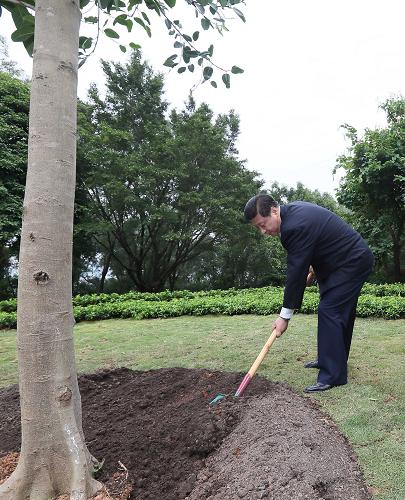2012年12月7日至11日，習近平在廣東省考察工作。這是8日上午，習近平在深圳蓮花山公園種下一棵高山榕樹。新華社記者 蘭紅光 攝