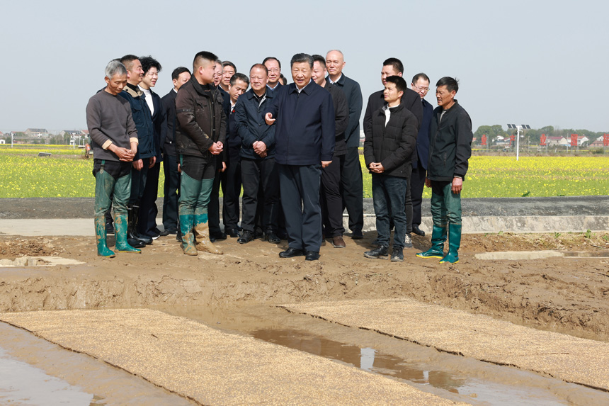 2024年3月18日至21日，中共中央總書記、國(guó)家主席、中央軍委主席習(xí)近平在湖南考察。這是19日下午，習(xí)近平在常德市鼎城區(qū)謝家鋪鎮(zhèn)港中坪村走進(jìn)田間，察看秧苗培育和春耕備耕進(jìn)展。新華社記者 王曄 攝